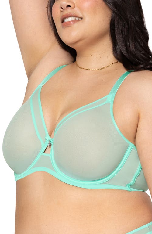 Curvy Couture Full Figure Mesh Underwire Bra In Mint Chip