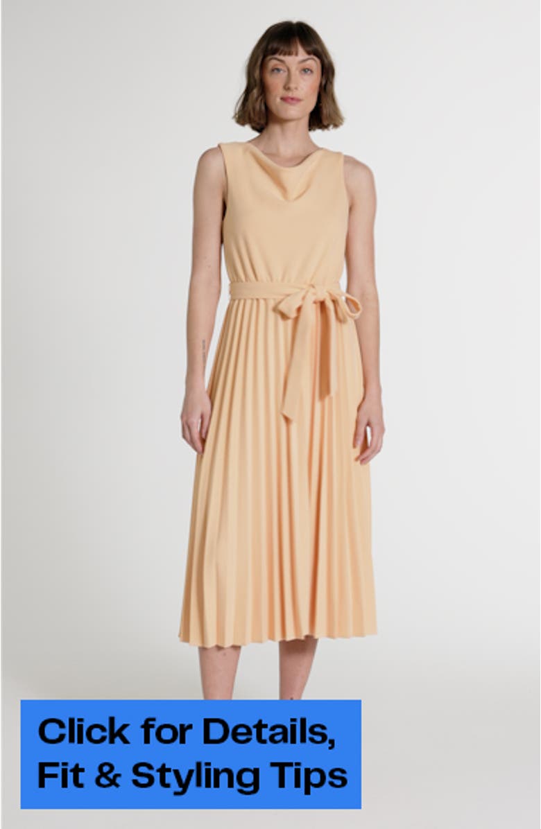 Cowl Neck Sleeveless Pleated A-Line Dress, sales video thumbnail