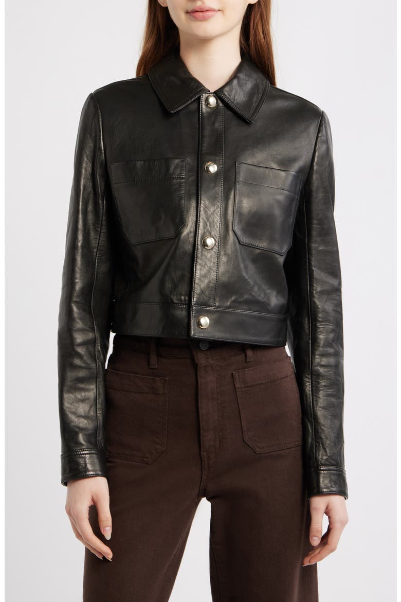 The Small Crop Leather Jacket, Main, color, BLACK