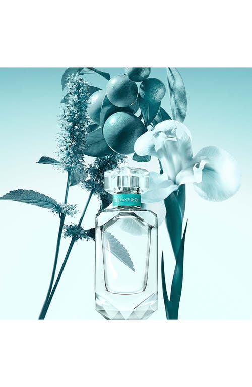 Tiffany & Co . Tiffany Eau De Parfum Gift Set $228 Value In Transparent