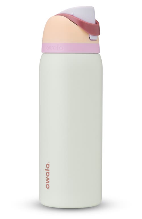 Owala 32oz. FreeSip Stainless Steel Water Bottle in Coastal Mist  product