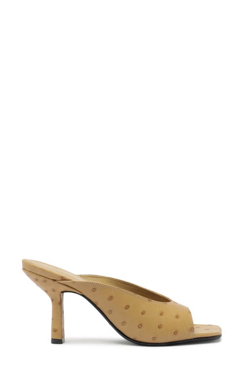 Schutz Finley Sandal In Multi