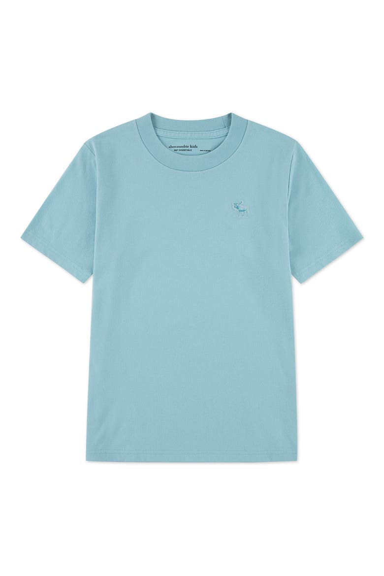 Kids' Essential Cotton Blend T-Shirt, Main, color, BAQANGEL B
