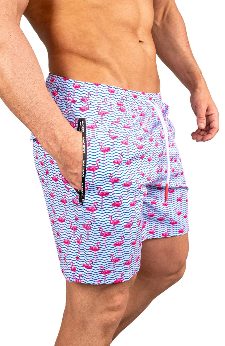 Maceoo Swim Lion Flamingo Swim Trunks, Alternate, color, Blue