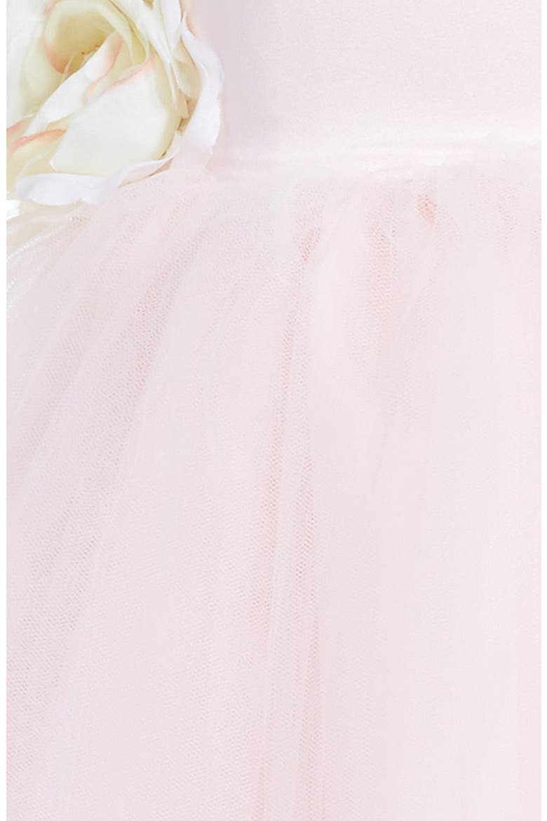 Tulle Ballerina Dress, Alternate, color, BLUSH PINK