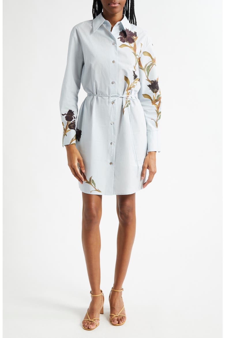 iris cotton dress Iris Eyelet Embroidered Dress