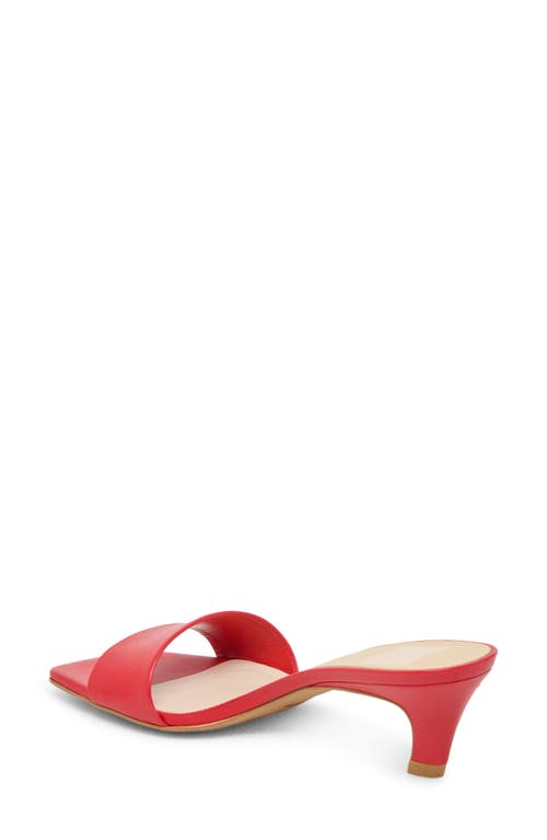Dolce Vita Rexa Kitten Heel Slide Sandal