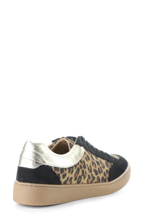 Bos. & Co. Missy Low Top Sneaker In Animal Print