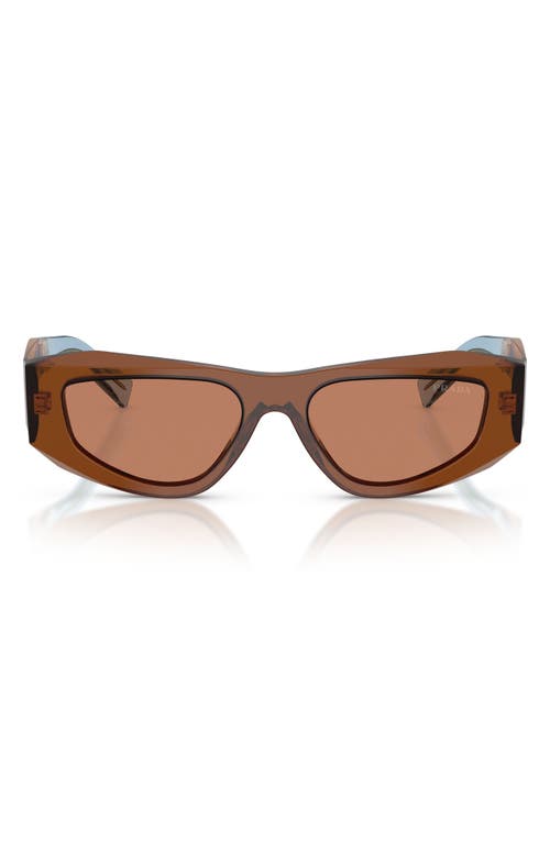 Prada 53mm Pillow Sunglasses In Brown