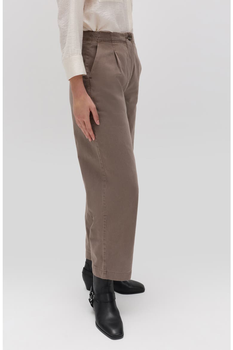 Pleated Barrel Leg Pants, Alternate, color, SOFT BROWN