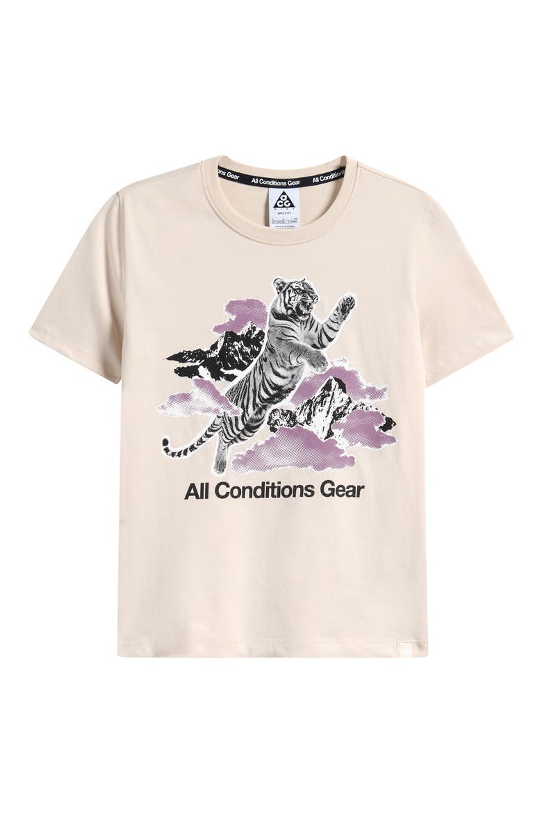 Kids' Nike ACG Dri-FIT Graphic Tee, Main, color, LIGHT OREWOOD BROWN