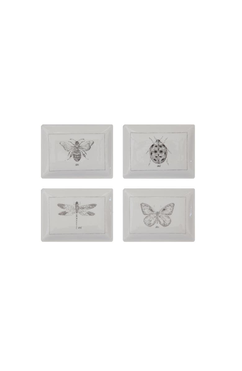 Storied Home Rectangle Ceramic Dishes with Insect Images, Main, color, White