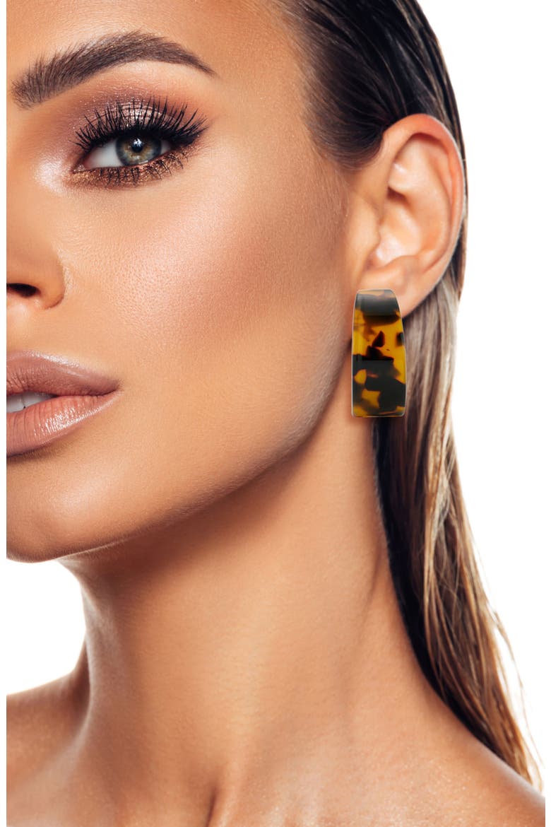Pattern Hoop Earrings, Alternate, color, BROWN/ SILVER