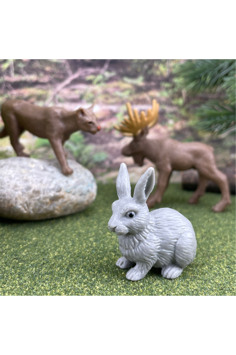 Nature Toy, Alternate, color, No Color