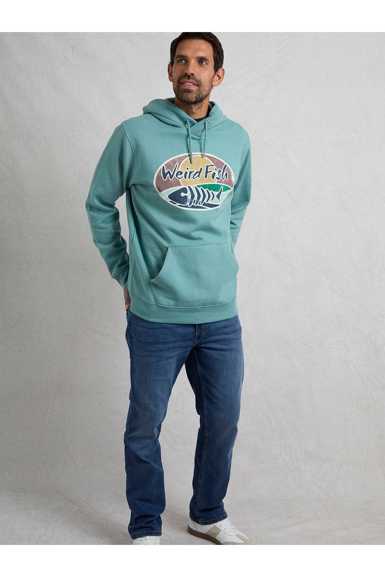 Bryant Graphic Popover Hoodie, Alternate, color, Mineral Blue