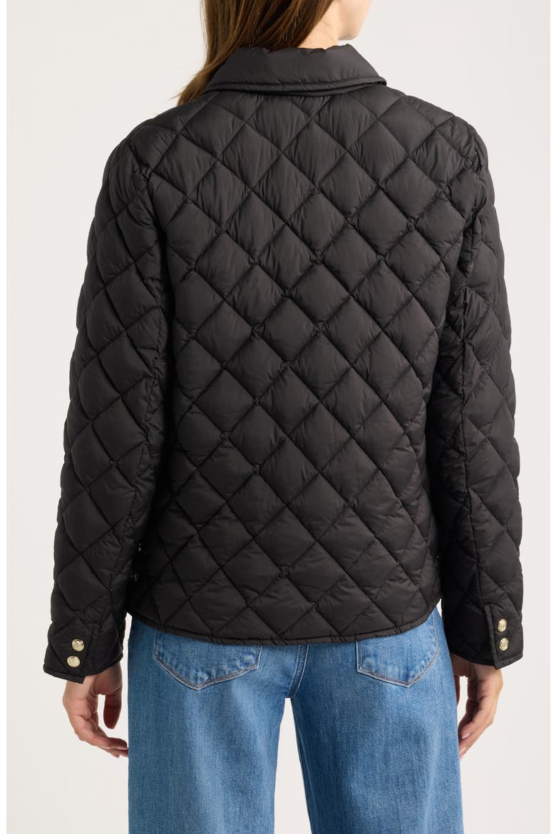 Quilted Liner Jacket, Alternate, color, BLACK