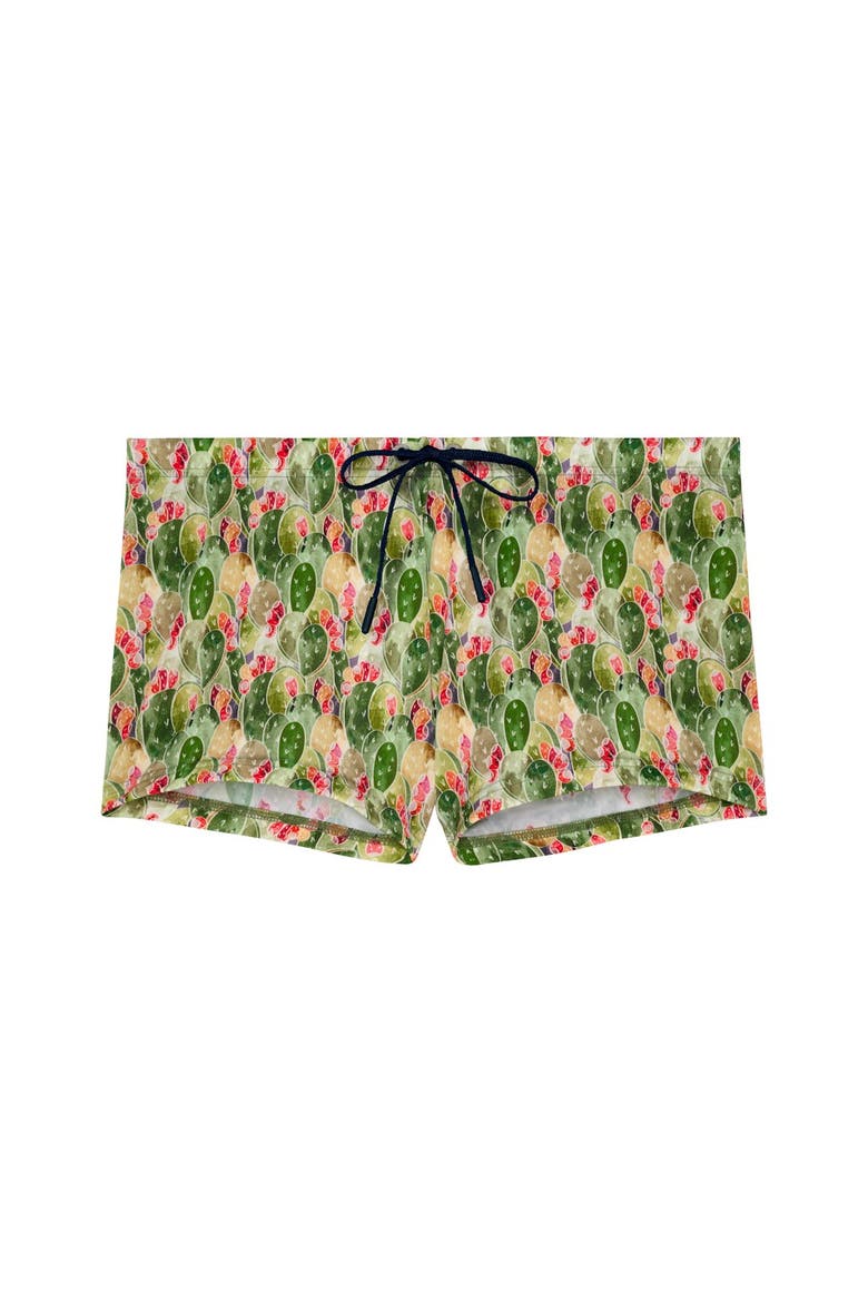 Taormina Swim Shorts, Main, color, Green Print