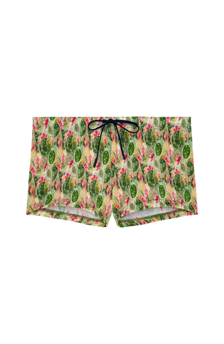 HOM Taormina Swim Shorts, Main, color, Green Print