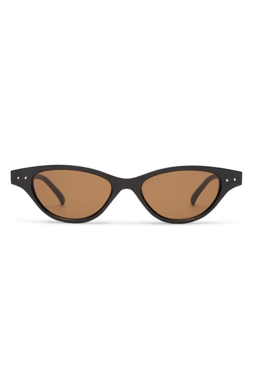 Aire Cybeles 49mm Cat Eye Sunglasses In Black/brown Mono