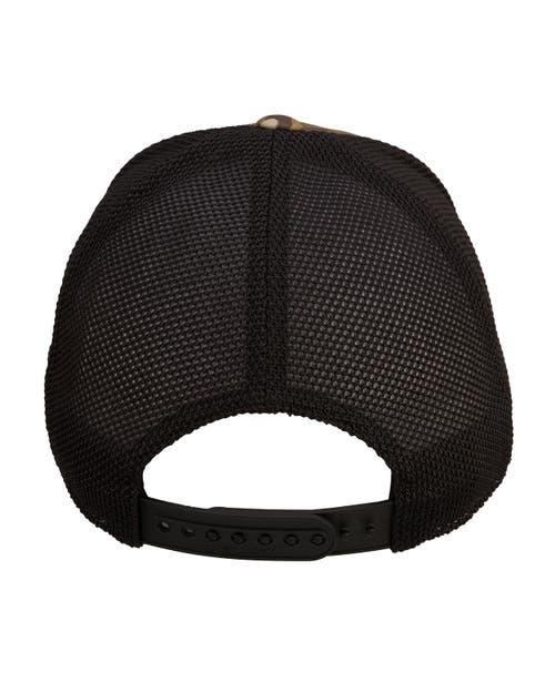 Black Clover Clover Nation 25 Hat In Brown