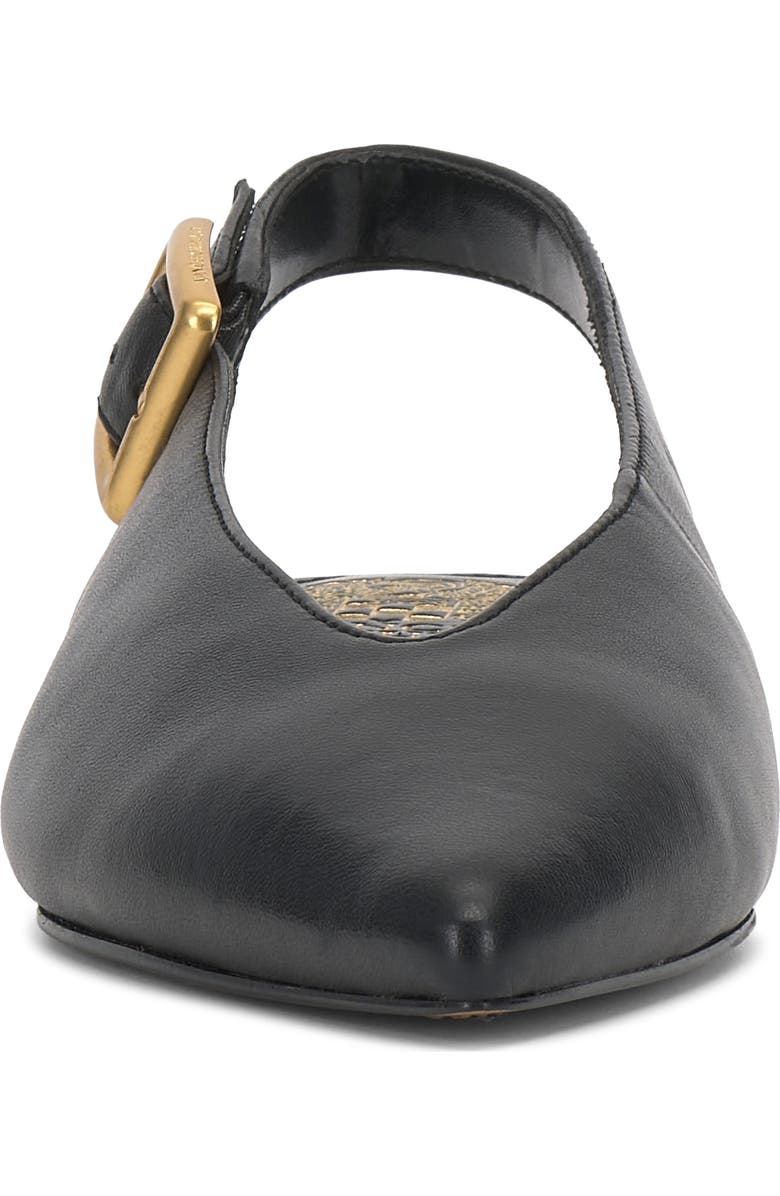 Vince Camuto Valther Pointed Toe Flat, Alternate, color, Black