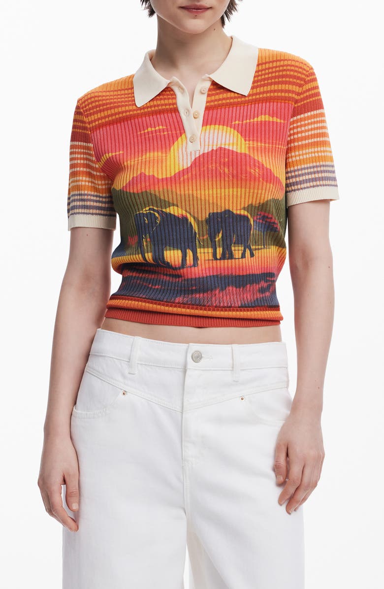 Desigual Stripe Scenic Rib Graphic Polo, Main, color, 