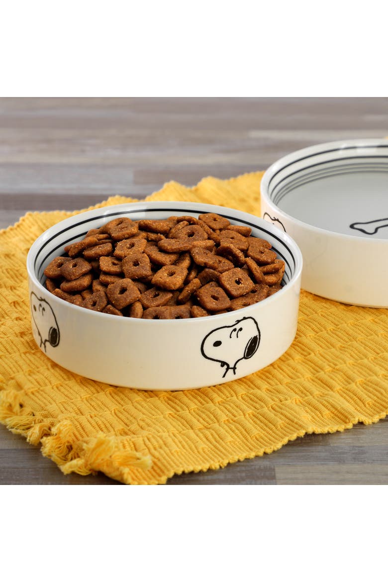 Suppertime Favorites 6.5in Stoneware Pet Bowl, Alternate, color, White