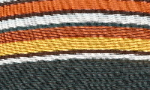 Bode Boxy Parakeet Stripe Long Sleeve Polo In Multicolor