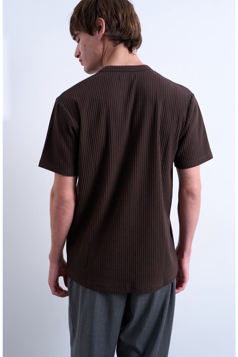 Heavyweight Rib T-Shirt, Alternate, color, BROWN