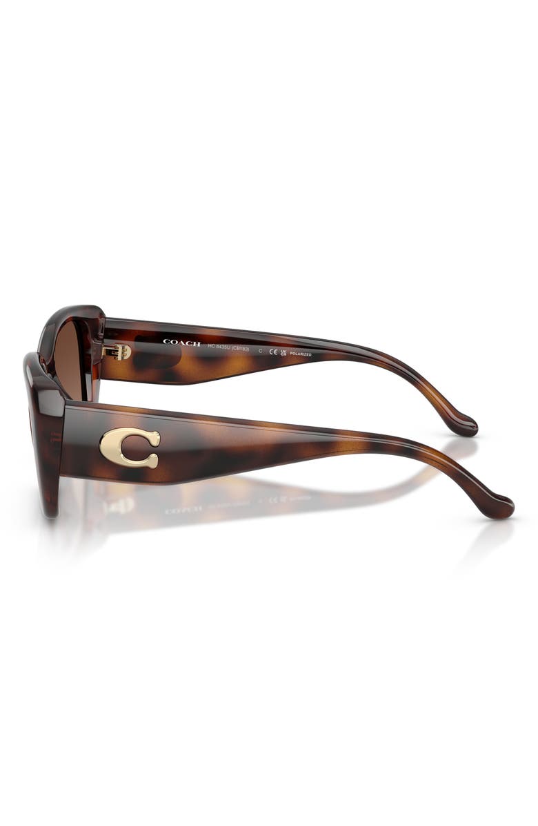COACH 54mm Square Sunglasses, Alternate, color, Dark Tortoise / Brown
