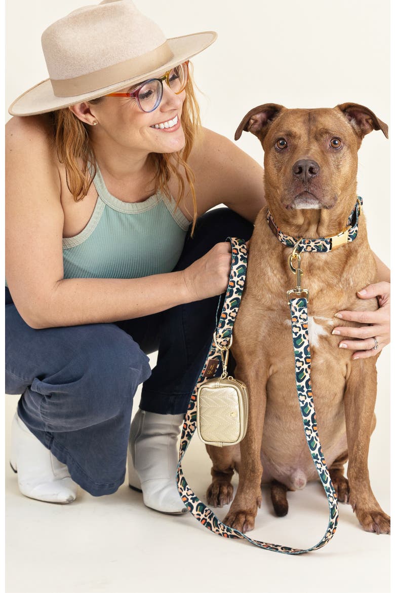 Beckett Dog Leash, Alternate, color, Beckett 6ft