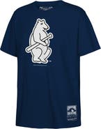 Mitchell & Ness Youth Mitchell & Ness Navy Chicago Cubs Retro Logo T-Shirt