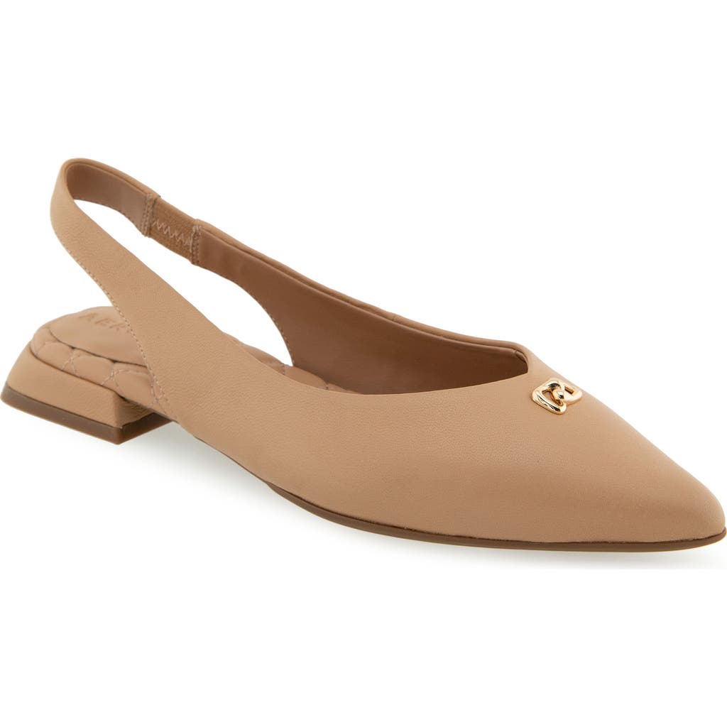Shop Aerosoles Nayana Pointed Toe Slingback Flat In Beige Bisque Leather