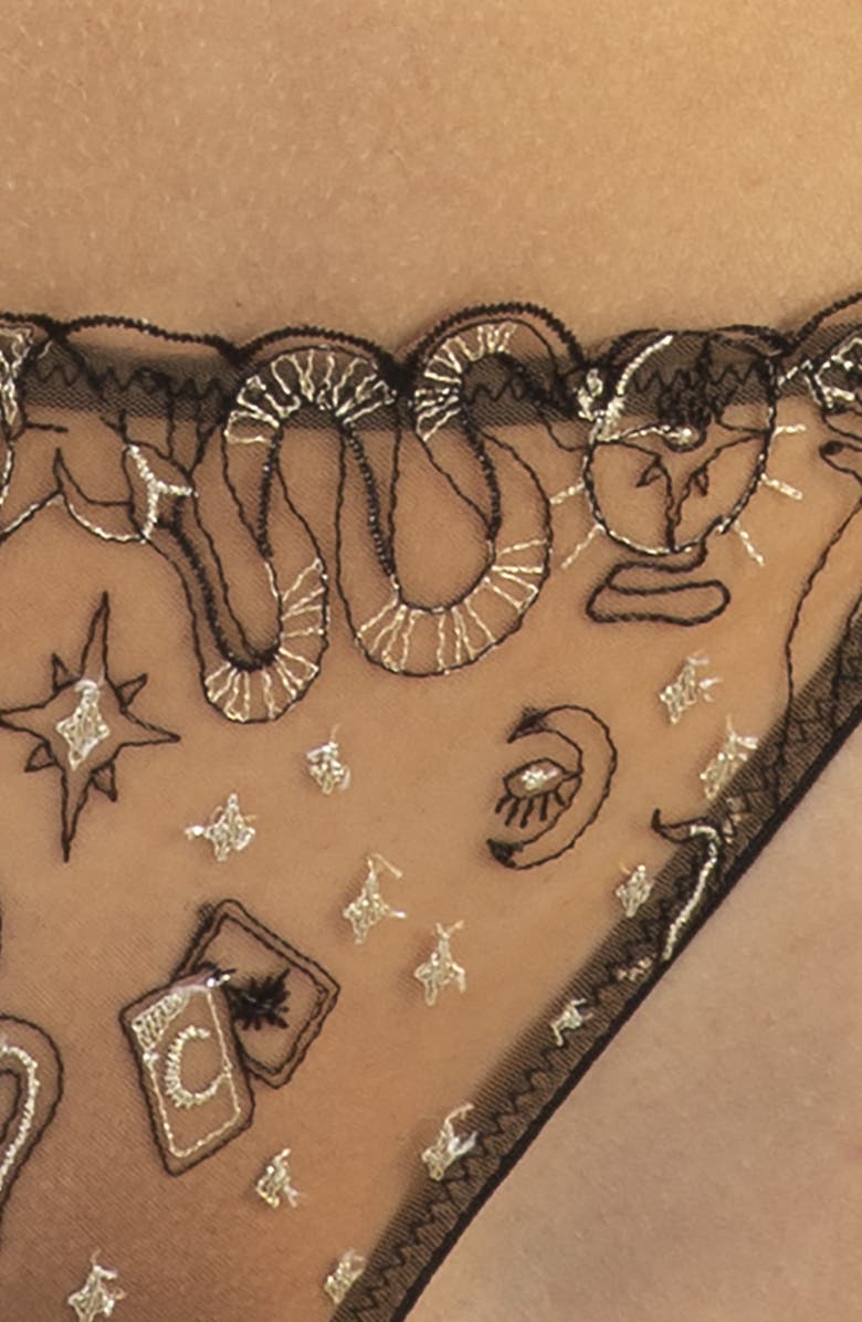 Playful Promises Anna Mystical Embroidered Briefs, Alternate, color, 