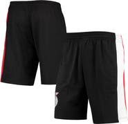 Mitchell & Ness Men's Mitchell & Ness Black Portland Trail Blazers Hardwood Classics 75th Anniversary Swingman Shorts