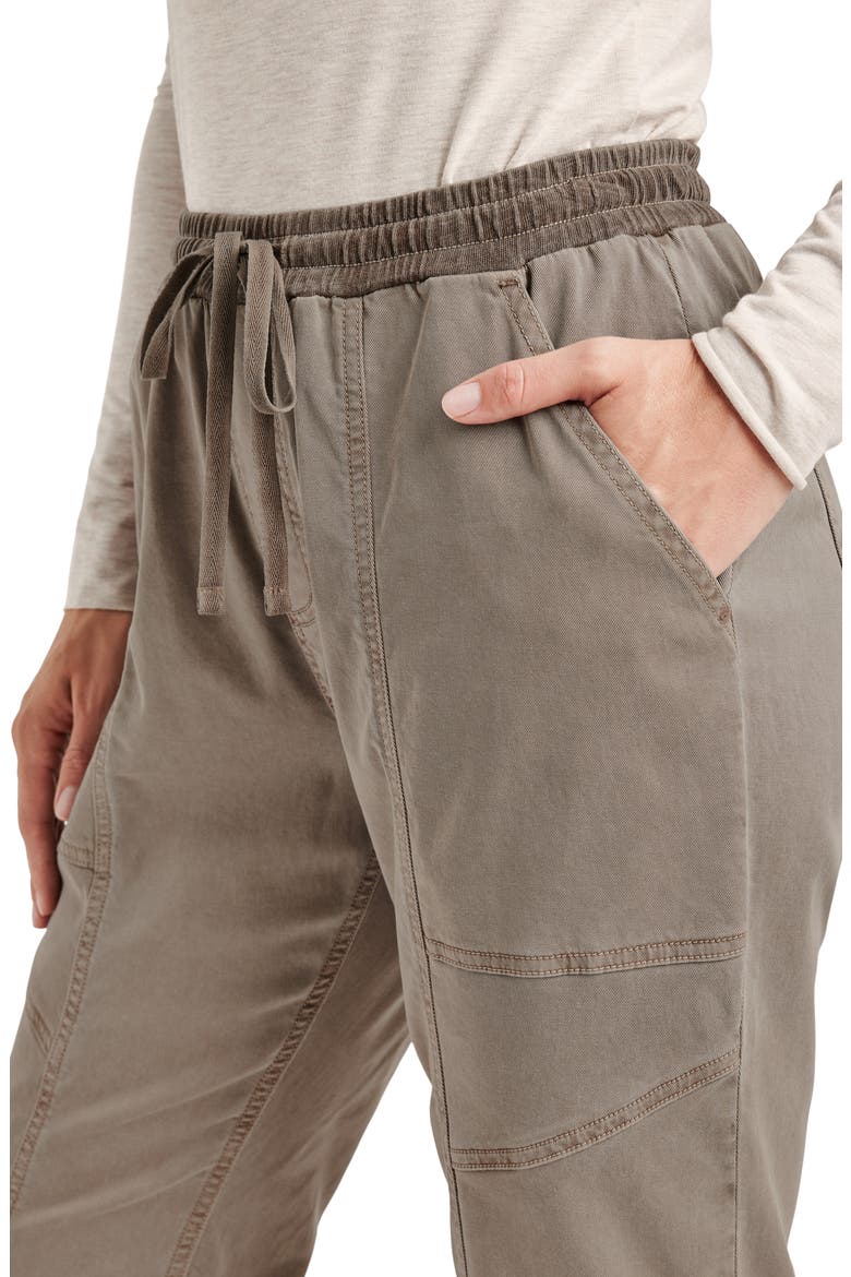 Shay Twill Drawstring Pants, Alternate, color, TAWNY