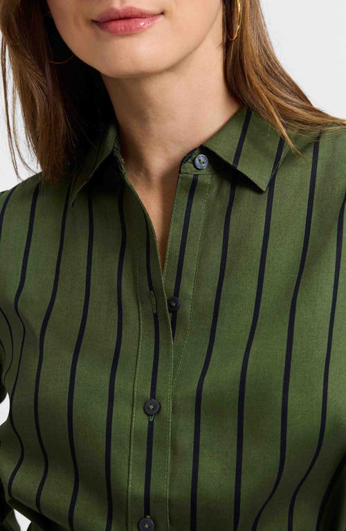 Foxcroft Esther Stripe Cotton Shirtdress In Green