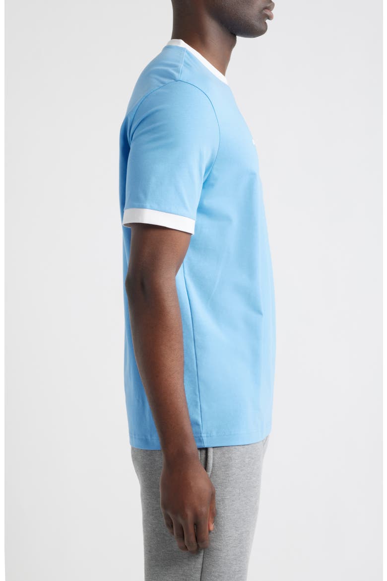 Lux Stretch Cotton Graphic T-Shirt, Alternate, color, ARGENTINA
