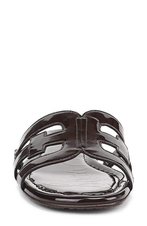 Sam Edelman Bay Cutout Slide Sandal In Brown