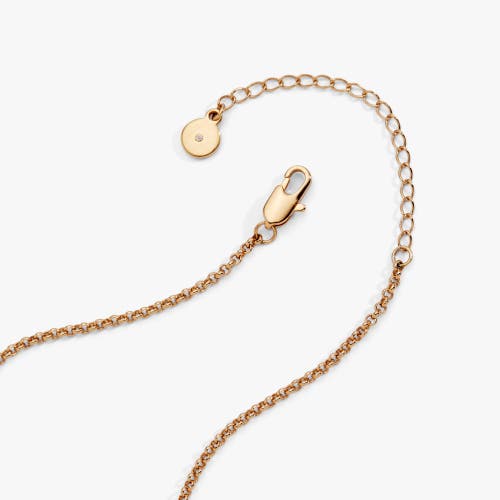 Alex And Ani Hanukkah Duo Charm Necklace In Gold