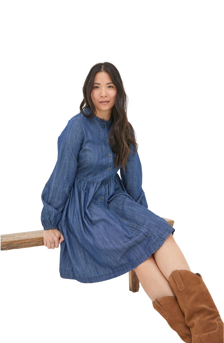 FatFace Women's Corrie Denim Dress, Alternate, color, 