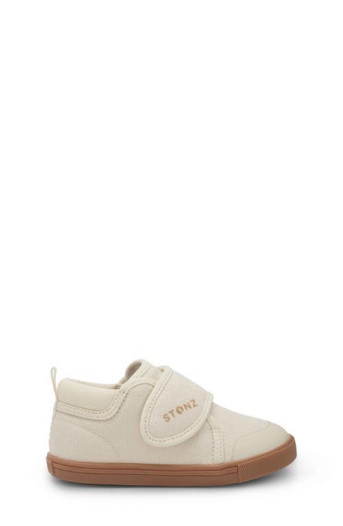 Stonz Cruiser Sneaker In Oatmeal