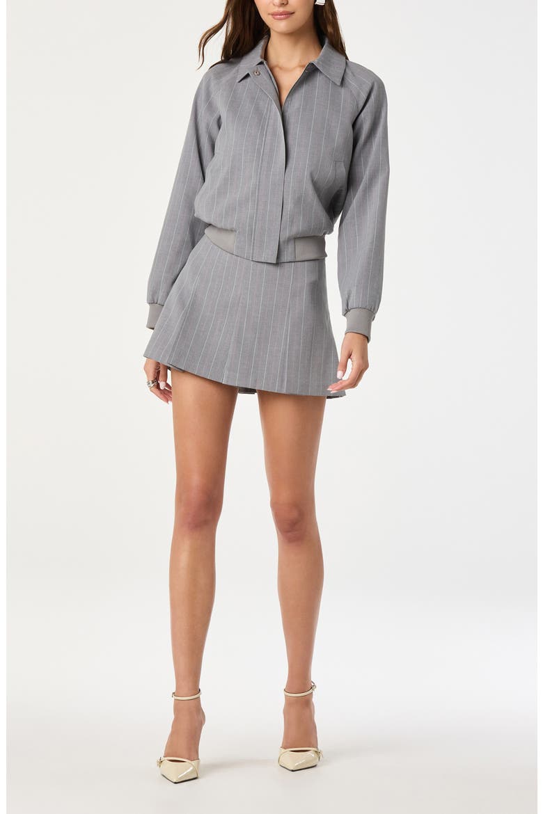 Pleated Stripe Miniskirt, Alternate, color, GREY STRIPE