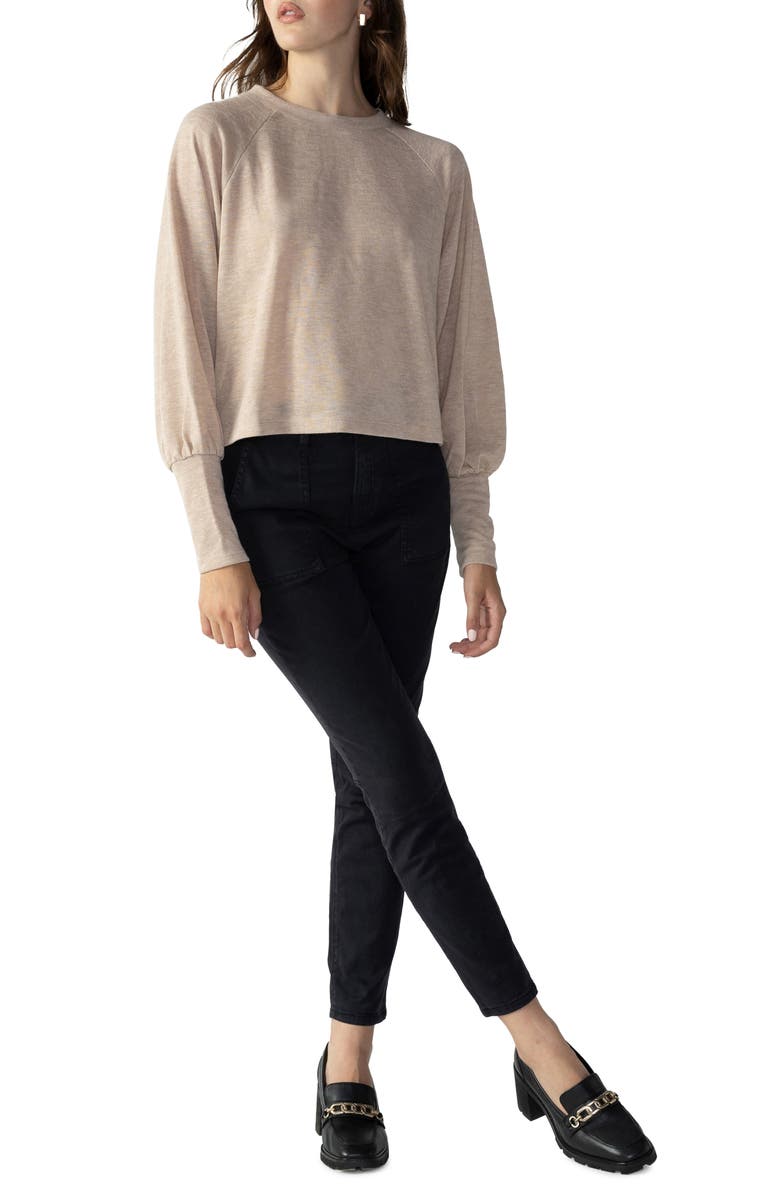 Sanctuary Hayden Skinny Pants, Alternate, color, 