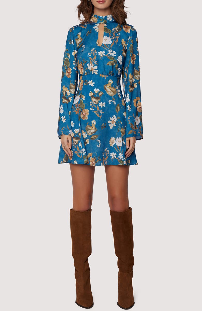Lost + Wander Rentas Garden Long Sleeve Dress, Main, color,