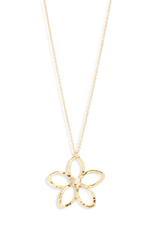 Ki-ele Melia Flower Freshwater Pearl Necklace In Gold