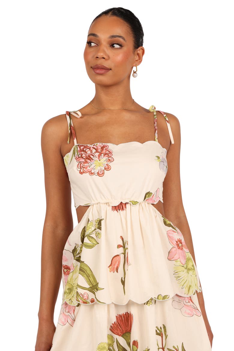 Adelaide Scallop Cutout Tie Strap Maxi Dress, Alternate, color, NATIVE FLORA