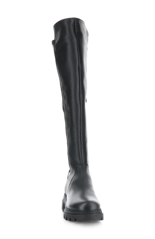 Bos. & Co. Fifth Waterproof Knee High Boot In Black