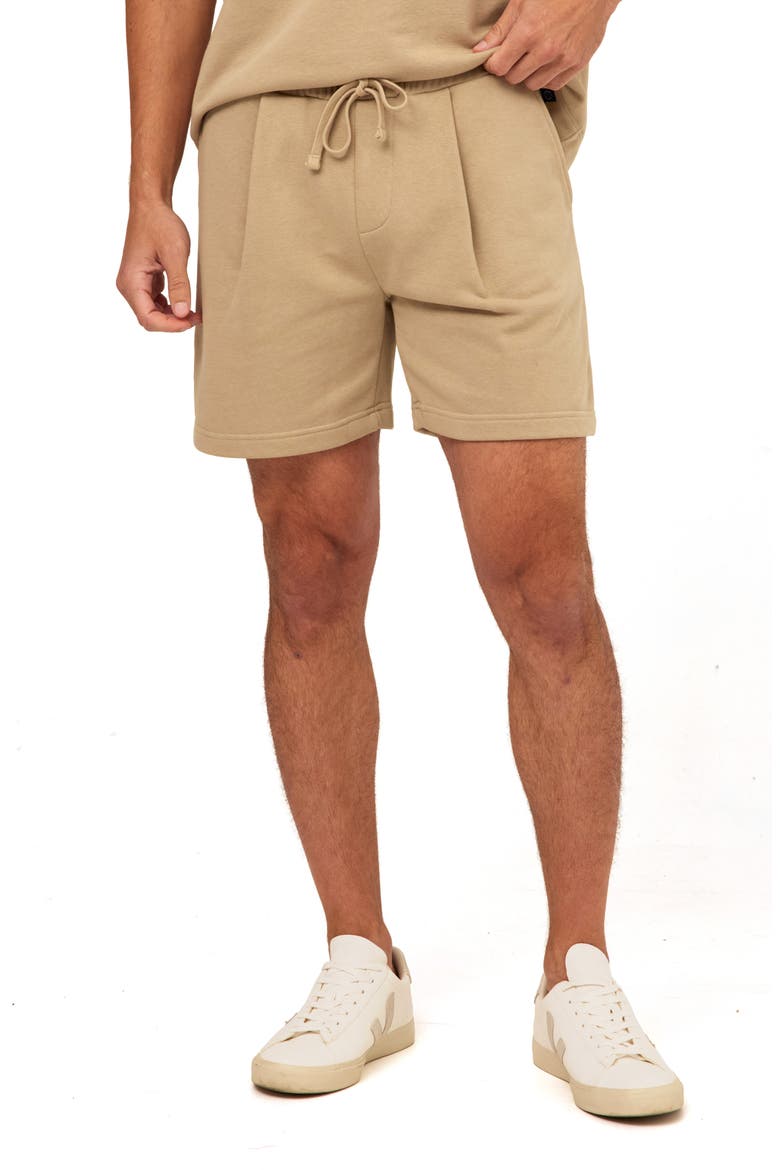 Easton Pleated Mineral Wash Terry Cloth Shorts, Main, color, PEBBLE
