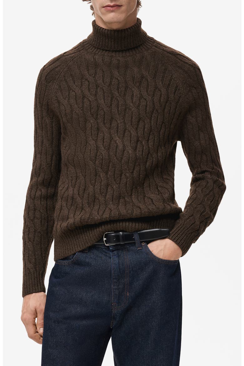 Cable Stitch Turtleneck Sweater, Main, color, BROWN